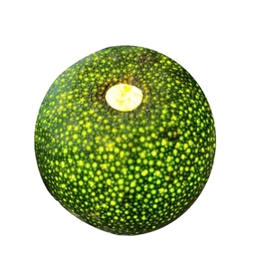 2025年正宗新会小青柑皮壳头采生晒2023年干果壳自制柑普茶炖汤