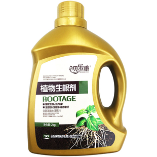 植物快速生根剂果树移植定根水苗木养护营养液树木移栽扦插生根液