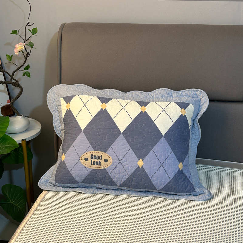 拉链款夹棉纯棉枕套一只装单人儿童厚枕头套4060四季通用吸汗防油