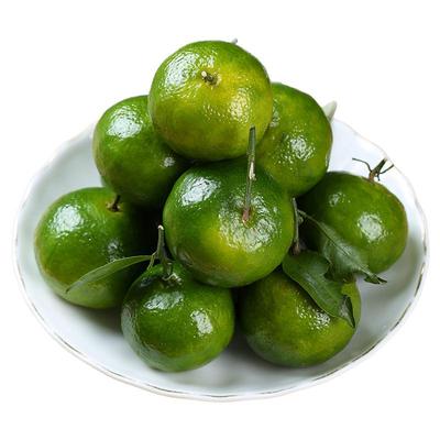 顺丰空运云南清香桔顾老表清香橘