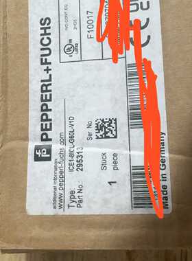 倍加福主站模块295313，型号ICE1-8IOL-G60L