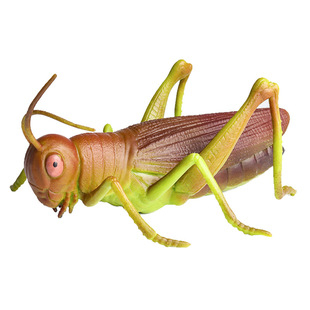 昆虫玩具仿真昆虫螳螂玩具硅胶虫子壁虎蜥蜴蜗牛动物模型儿童认知