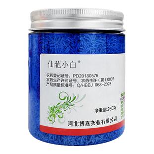 仙葩小白药多肉月季蓟马蚧壳虫飞虱小粉药纹枯病土壤杀虫剂