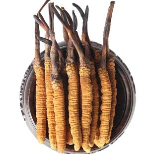 三江源野生冬虫夏草3根/g青海虫草玉树野生虫草新草 官方旗舰店