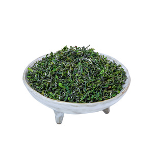 崂山绿茶2025新茶春茶浓香青岛特产手工碧螺春工艺炒制散装茶叶