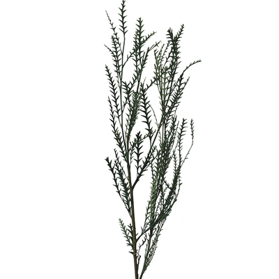 天然风干羊齿叶干花花环客厅软装