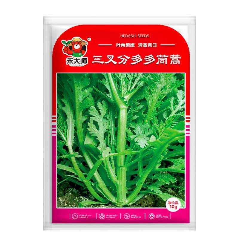 当季新种分多多茼蒿蔬菜种子侧枝多多茬采收蔬菜种子阳台盆栽种植
