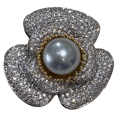 《银辉之愿》高级轻奢天然淡水珍珠胸针手链两用款送表带优雅大气