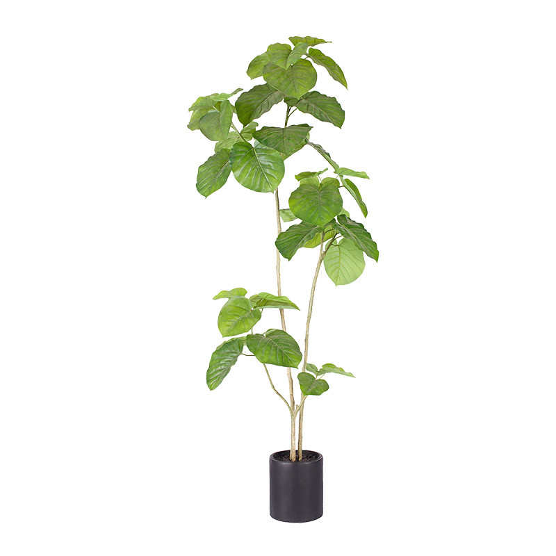 爱心仿真植物恋柚落地