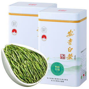 2025年新茶安吉白茶明前特级嫩芽绿茶正宗白茶散装茶叶礼盒装500g