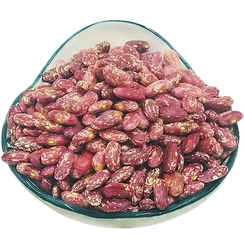 25年贵州新花豆无烂豆10斤包邮