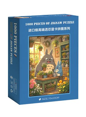 1000片拼图成人高难度解压治愈系手工装饰玩具带相框龙猫花房养花