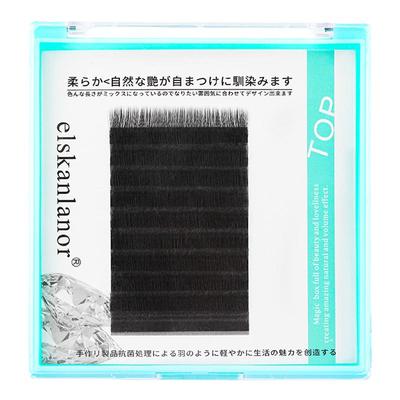 Y型婴儿自然开花睫毛不散根