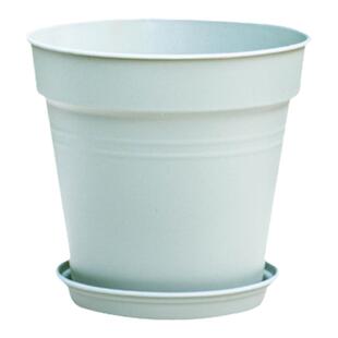 塔莎的花园霍伦标准盆莫兰迪色花盆塑料花盆简约月季绣球室内庭院