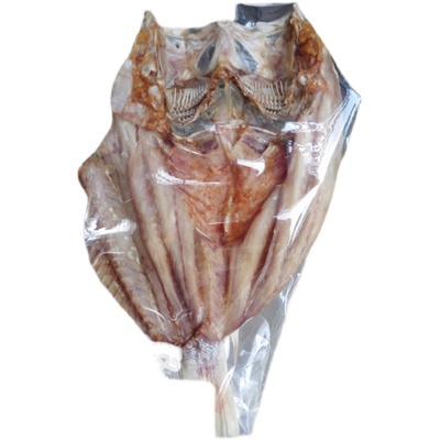 广西北海家产品深海卖鱼肉鱼干