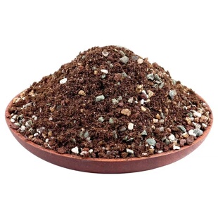 多肉营养土专用颗粒土肉肉种植专用土铺面石叶扦插家用泥炭土大包