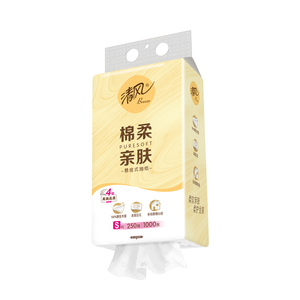 清风挂抽纸250抽&times;10提悬挂式家用整箱