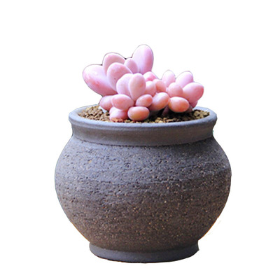 粗陶花盆多肉植物紫砂透气创意