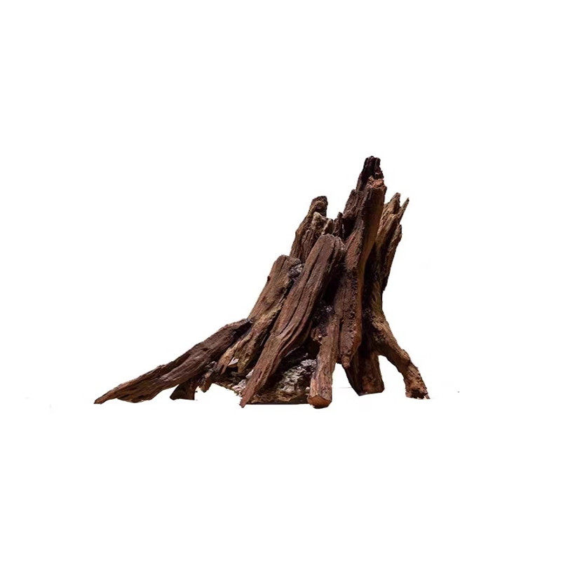 精洗躲避屋鱼缸沉木小米缸包打磨