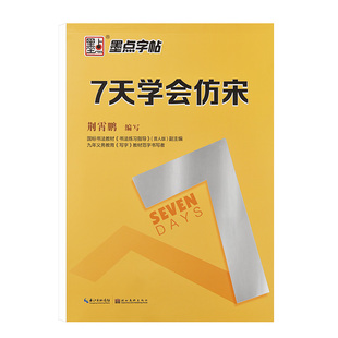 仿宋体字帖练字宋体钢笔专用临摹练字帖小学生初中生高中大学生成人初学者硬笔书法荆霄鹏正楷基础入门教程标准成年写字帖练字本