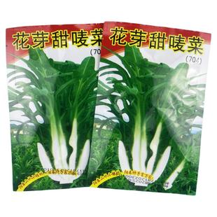 阳春花芽甜唛菜种子甜脆四季农家菜园青菜种孑阳台盆栽籽禾之元