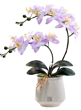 蝴蝶兰仿真花客厅摆件餐桌摆花