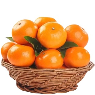 正宗广西武鸣沃柑薄皮柑橘子9斤新鲜桔子水果橘子当季果冻橙子