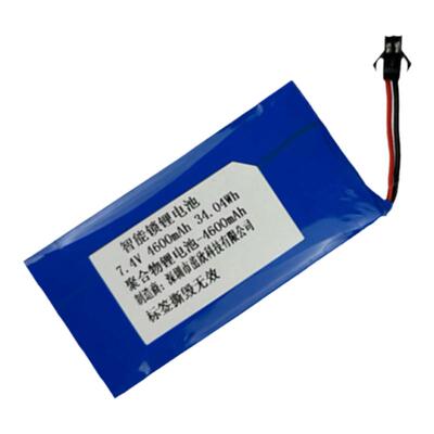 锂电池智能门锁指纹锁