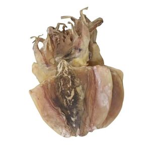 农产品渔民自晒浙江舟山淡干墨鱼干目鱼干墨鱼干乌贼干海鲜干货