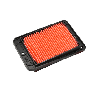 原厂三阳踏板摩托车迪爵125蜂鸟CLBCU行SHEX125空气滤芯空滤配件