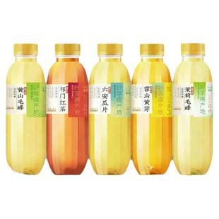 迎驾山泉无糖茶饮料420ml*15瓶整箱420ml0糖0脂0卡瓜片黄芽毛峰