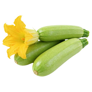 新鲜蔬菜西葫芦小瓜云南产地直发鲜嫩茭瓜三月瓜三叶瓜应季蔬菜