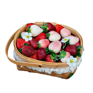 【顺丰】三色草莓真红美玲黑草莓粉玉香野奶油草莓多色新鲜水果