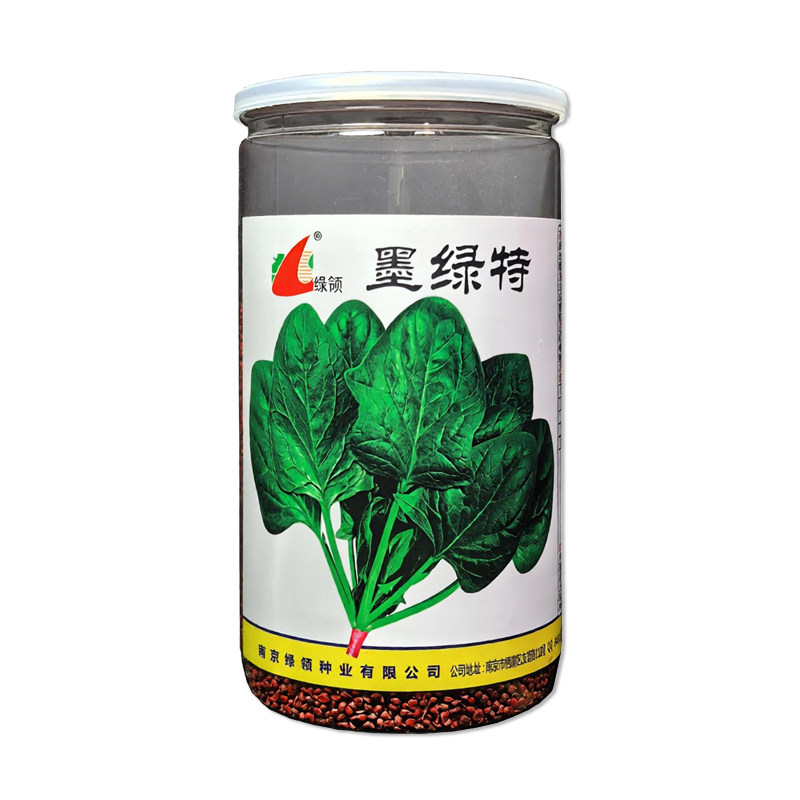 绿领墨绿特菠菜种子菜种子
