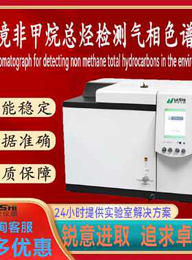 议价第三方环境检测公司非甲烷总烃检测仪苯系物TVOC用气相色谱仪