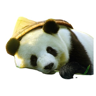 [成都大熊猫繁育研究基地-大门票]