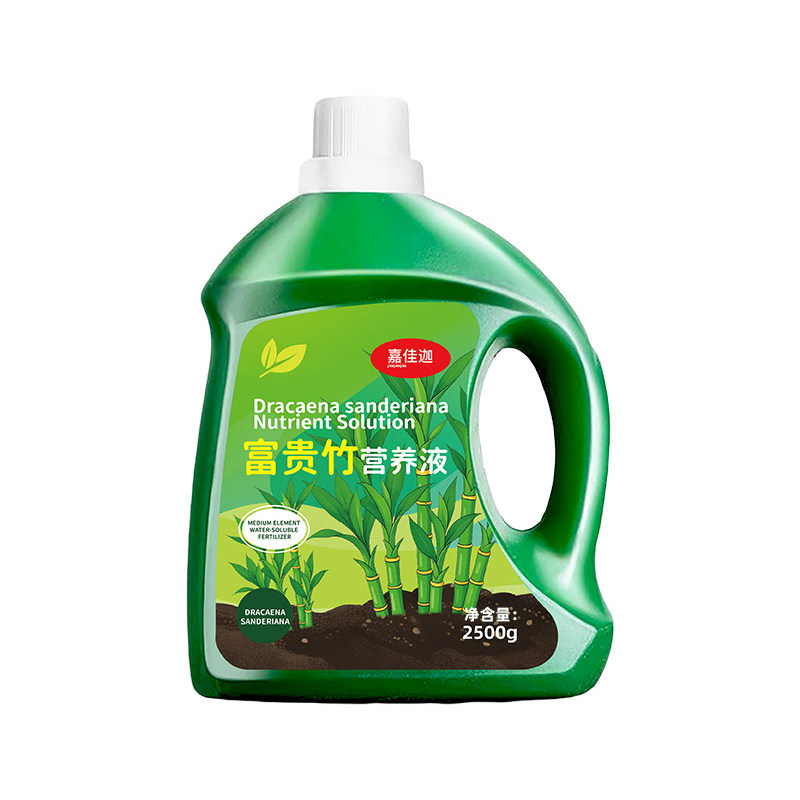 富贵竹专用营养液水培植物转运竹观音竹生根防叶子发黄浓缩营养肥