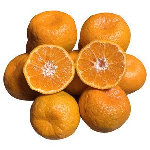 湘西椪柑应季桔子新鲜现摘芦柑橘子碰柑果园直发时令甜水果整箱