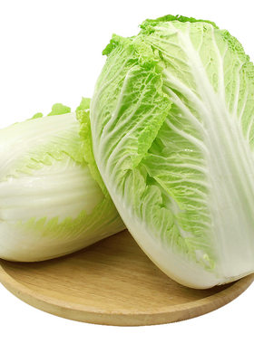 山东潍坊大白菜新鲜5斤包邮