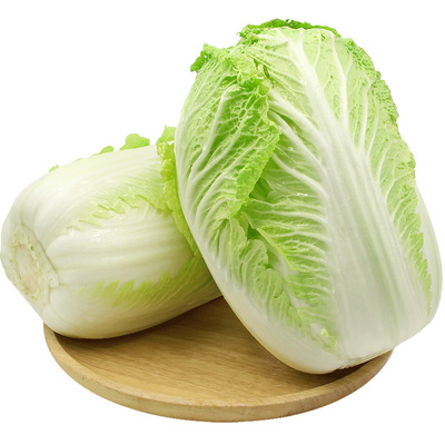 山东潍坊大白菜新鲜5斤包邮