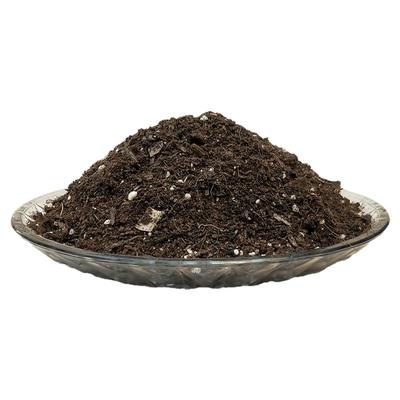 海桐球苗七里香山瑞香椰砖土家庭园艺专用盆地栽翻换疏松透气花土