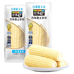 北纬47度新鲜白糯甜玉米正宗东北非转基因玉米早餐真空包装粗粮