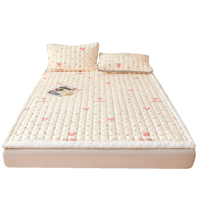 牛奶绒褥子床垫秋冬加厚毛毯垫被