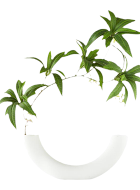 仿真绿植假花禅意仿生绿植假盆栽植物盆景客厅玄关办公室桌面摆件