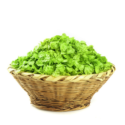 2026榆钱新鲜现摘现发时令野生野菜窝窝头榆钱儿叶钱串子包邮