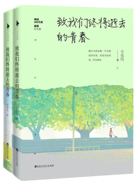 全2册 辛夷坞作品：致我们终将逝去的青春//杨玏陈瑶赵又廷韩庚杨子姗江疏影主演电影青春校园小说原著正版书籍