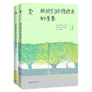 全2册 辛夷坞作品：致我们终将逝去的青春//杨玏陈瑶赵又廷韩庚杨子姗江疏影主演电影青春校园小说原著正版书籍