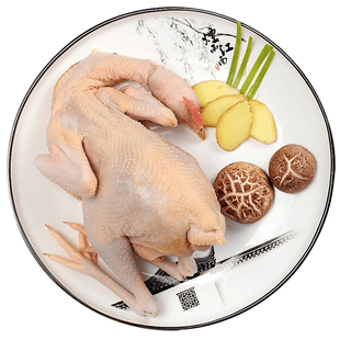 正宗土鸡老母鸡整只现杀农家散养月子鸡柴鸡新鲜走地鸡顺丰包邮