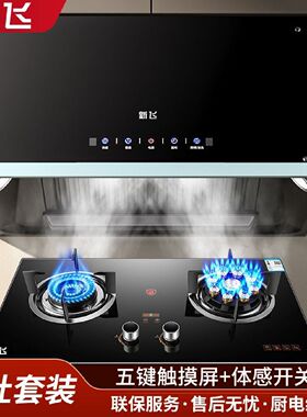 新飞中式顶吸油烟机燃气灶套装抽油烟机煤气灶具烟机灶具两件套餐