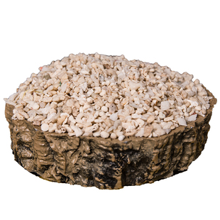 陌派寄居蟹专用沙~天然垫材白沙珊瑚沙菲律宾沙子原生贝壳沙免洗